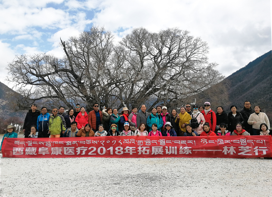 西藏阜康醫(yī)療2018年拓展訓(xùn)練——增強(qiáng)團(tuán)隊(duì)凝聚力、提升團(tuán)隊(duì)協(xié)作能力，更好地為患者服務(wù)